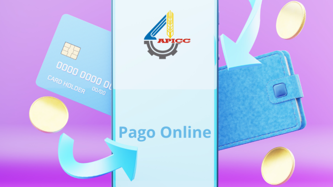 Pago Online Cuota APICC